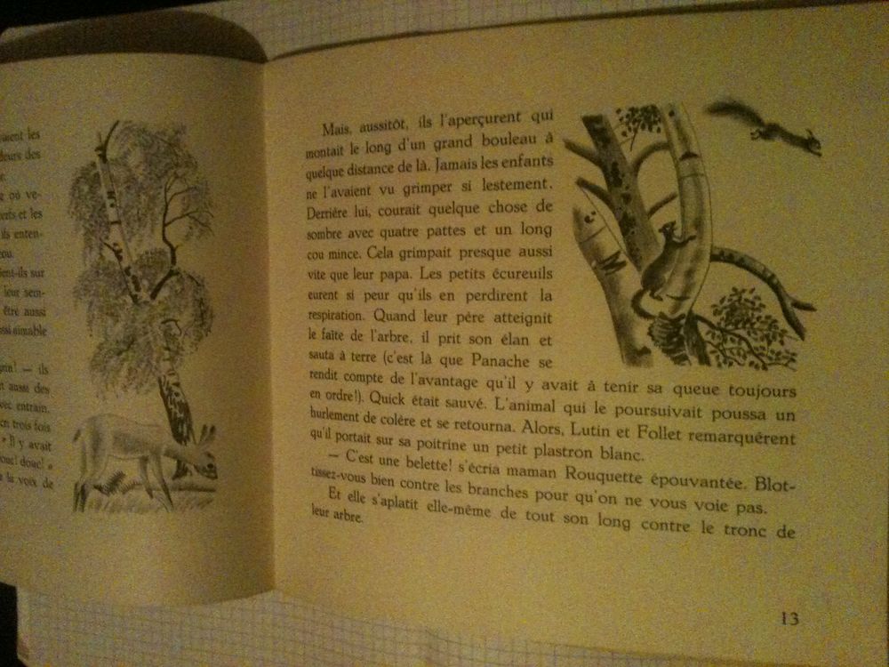 Panache l'&eacute;cureuil, Album du P&egrave;re Castor vintage 1934 Livres et BD