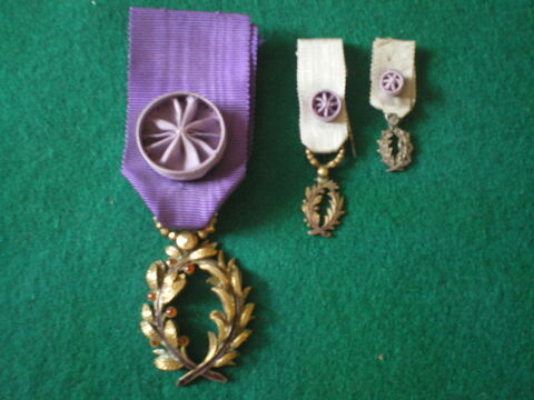 Ordre des Palmes acad�miques mod�le de luxe. 180 Caen (14)