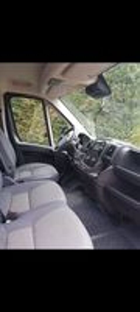  2020 occasion 05000 Gap