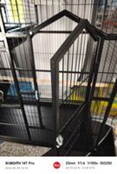   Cage perroquet  