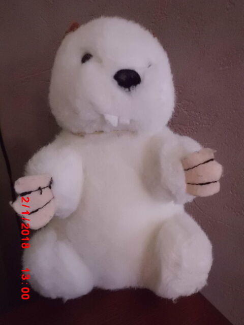 MARMOTTE BLANCHE RODA 15 Oignies (62)