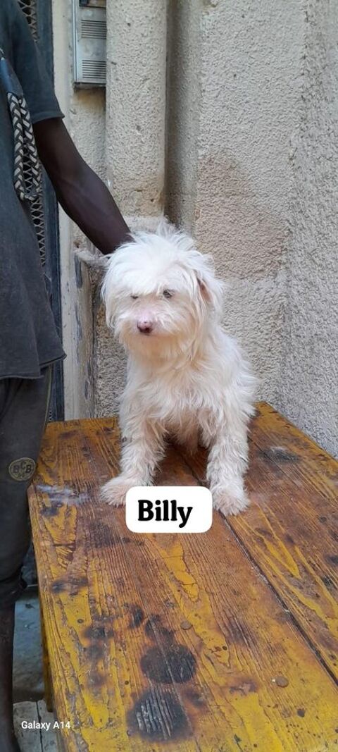 BILLY 0 75018 Paris