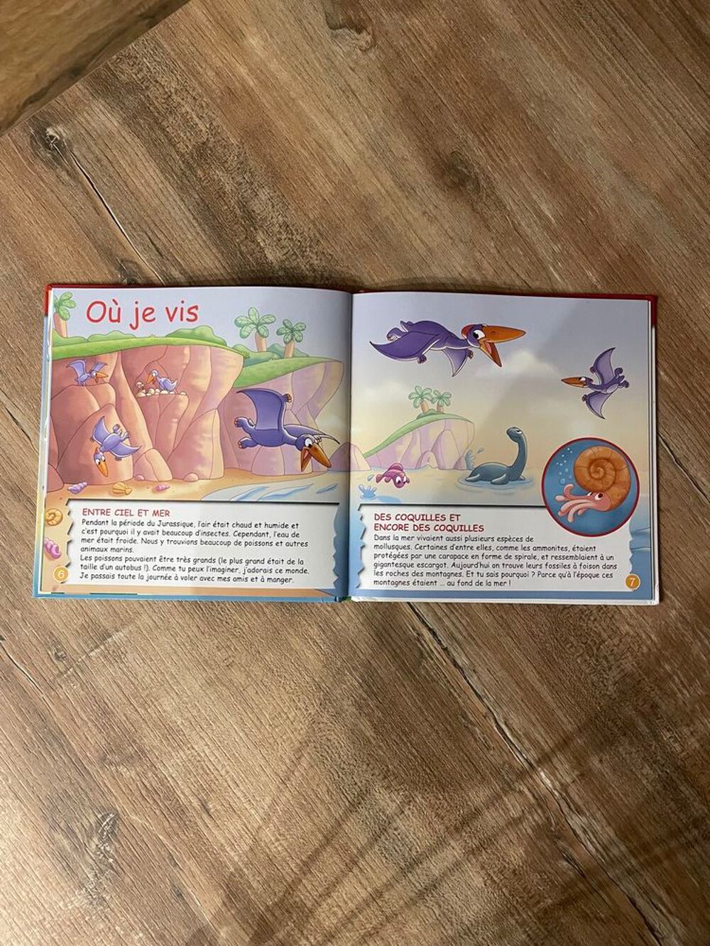 Livre enfant Animaux volants \'\' Le Pr&eacute;rodactyle \'\' Livres et BD