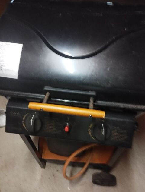 barbecue  45 Colomiers (31)