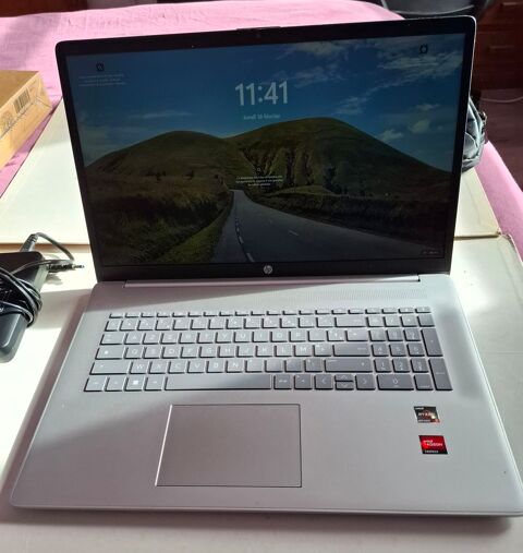 Pc portable HP 350 Purgerot (70)