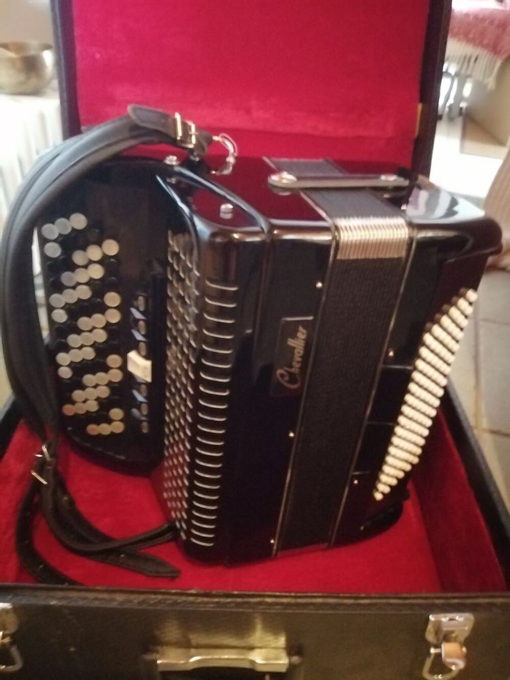 Accord&eacute;on d'&eacute;tude adultes Instruments de musique
