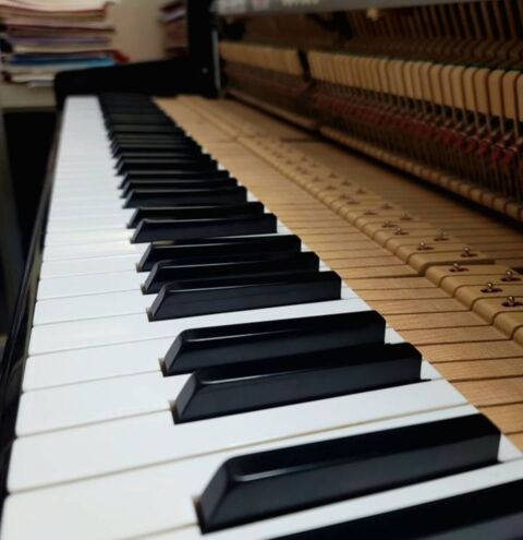 Cours de piano et de formation musicale &agrave; domicile 0 94120 Fontenay-sous-bois