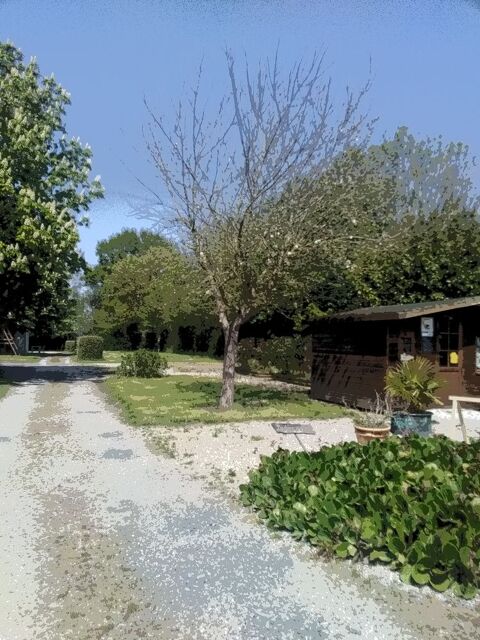  Terrain � louer 150 m� Crouay