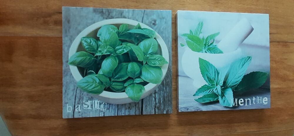 lot de 2 tableaux Motif Herbes Aromatiques Décoration