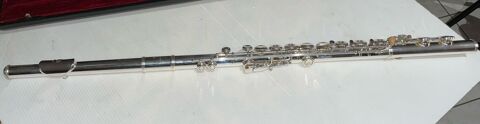 ma flute traversière d'étude. 350 Saint-Léger-sous-Cholet (49)