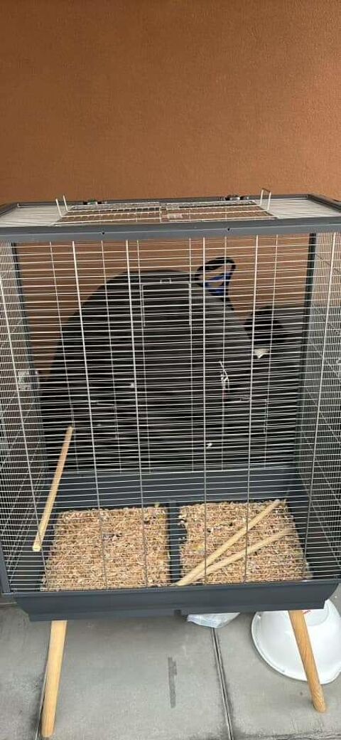 Cage perroquet 130 34290 Valros