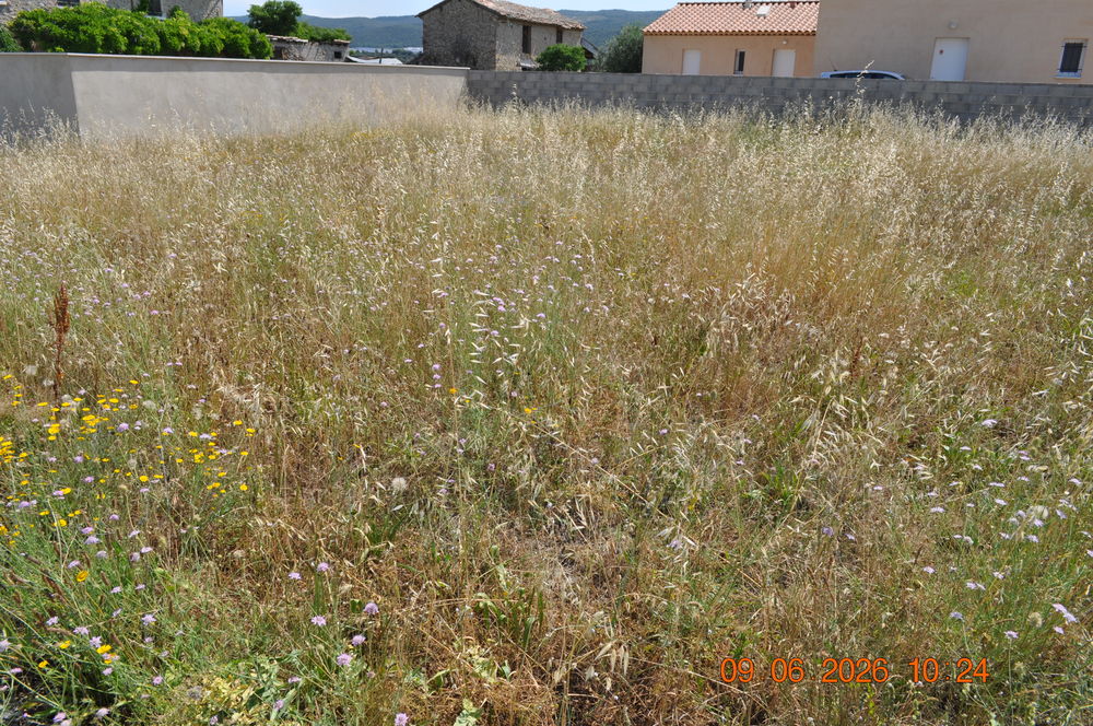 Vente Terrain Térrain constructible Les mées