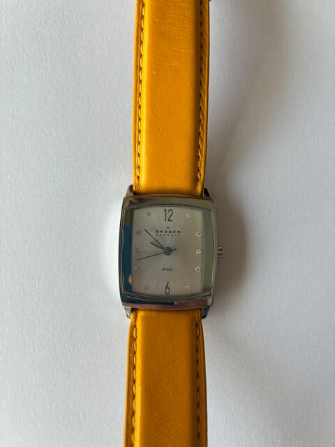 Montre Skagen femme Denmark Steel argenté
50 Levallois-Perret (92)