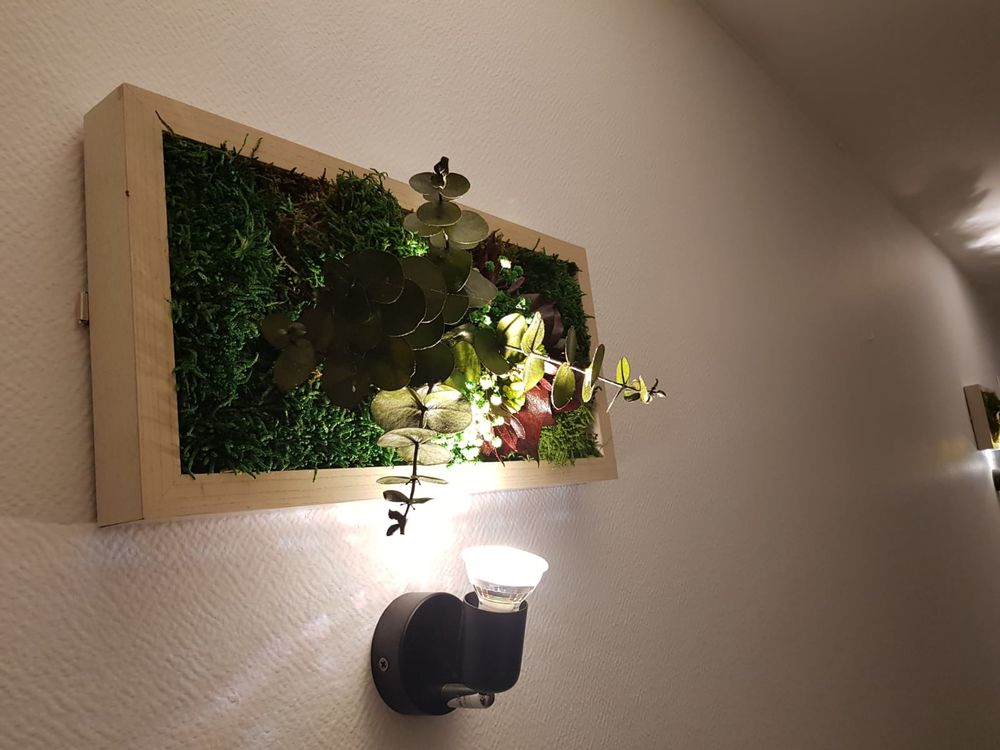 Fleures stabilisees ( sechees) Décoration