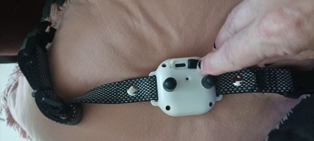 Collier chien &eacute;ducatif Audio et hifi