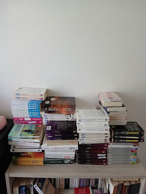 Lot d'environ 100 livres d'occasion ? romans et divers 100 Dinan (22)