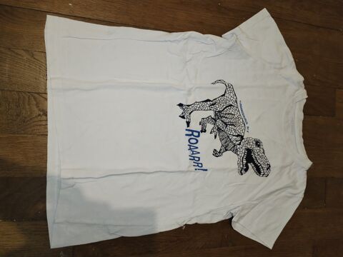 T-shirt enfant (12 ans) dynosaure 1 Brillon-en-Barrois (55)