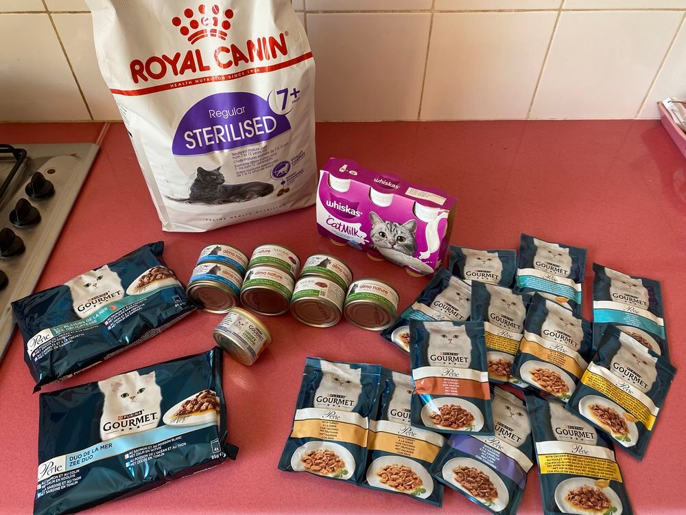   Lot entier neuf pour chats

