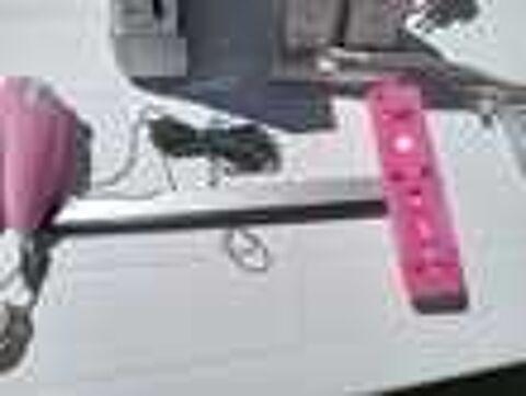 Console nintendogs pink Consoles et jeux vidos