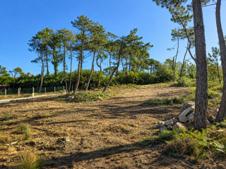  Terrain à vendre 1301 m² Crozon
