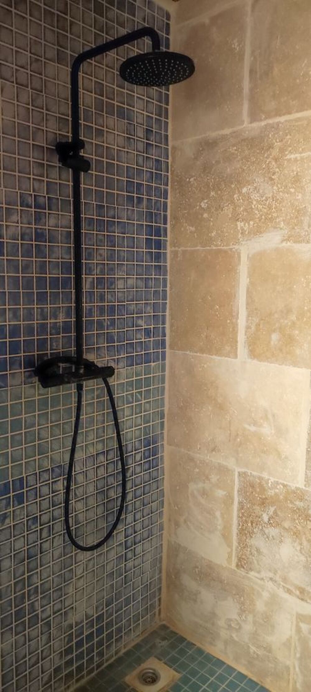 Location Appartement RDC ENTIEREMENT RENOVE Pleumartin