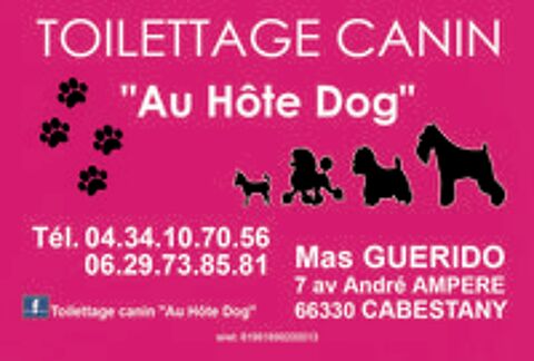   toilettage canin 
