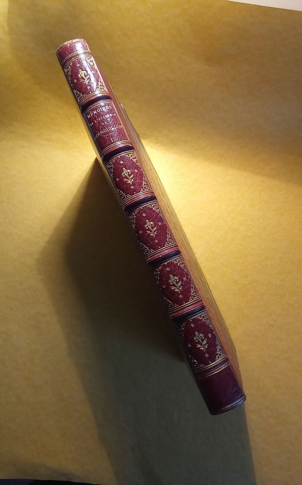  ''M&Eacute;MOIRES DE L'ACAD&Eacute;MIE DU GOURGUILLON''
Livre RARE. 
