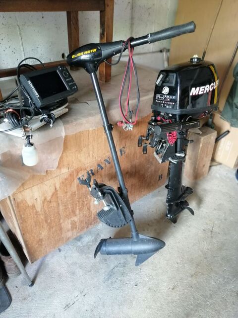 Bateaux &agrave; moteur P&ecirc;che-promenade 2000 occasion Chaussin 39120