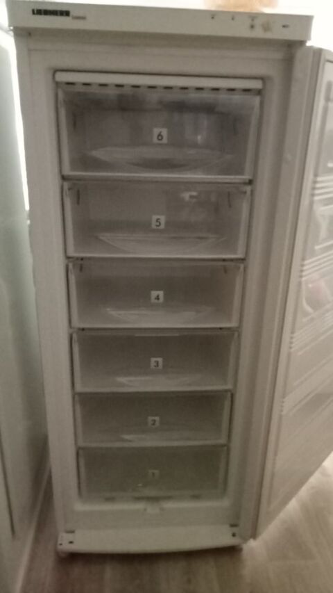 Congélateur armoire Liebherr Boucau (64)