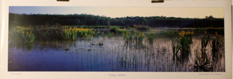    ETANG  LANDAIS       ERIC  CHAUCHE   .
17 Anglet (64)