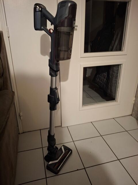 ASPIRATEUR BALAI ROWENTA X-PERT FLEX 6.60 RH6848WO 100 Grenoble (38)