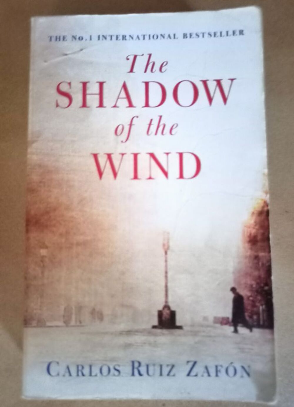 The shadow of the wind Livres et BD