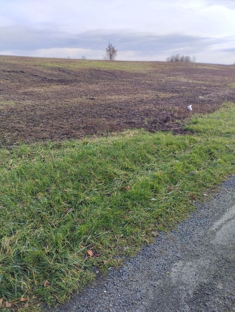 Vente Terrain terrain agricole 26548 M2 à Cinq Mars La Pile - Indre La tour-de-salvagny