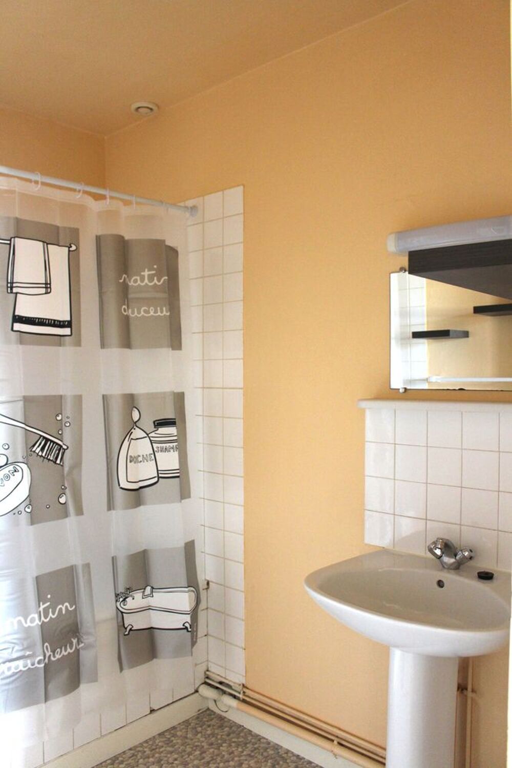 Location Appartement Centre ville Ancenis T2 Ancenis