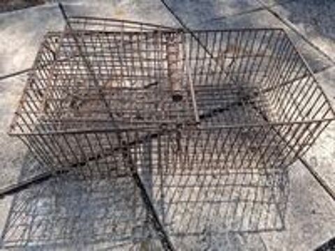   cage transport 