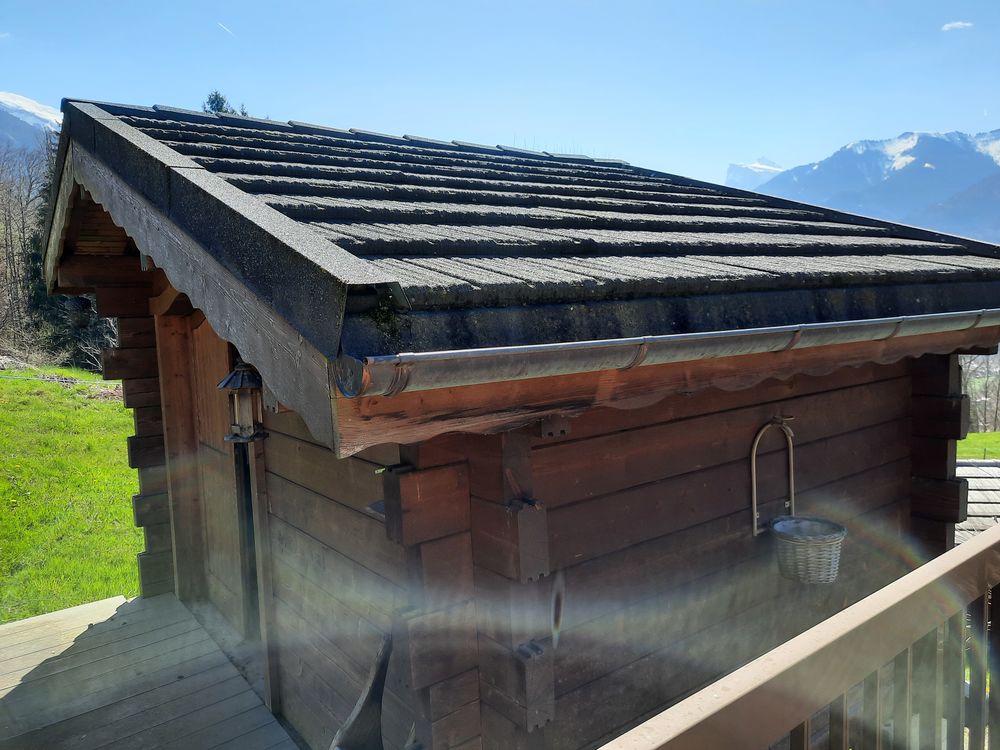 Chalet madriers Jardin
