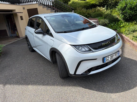 BYD Dolphin 60,4 kWh 204 ch Comfort 2024 occasion Zetting 57905