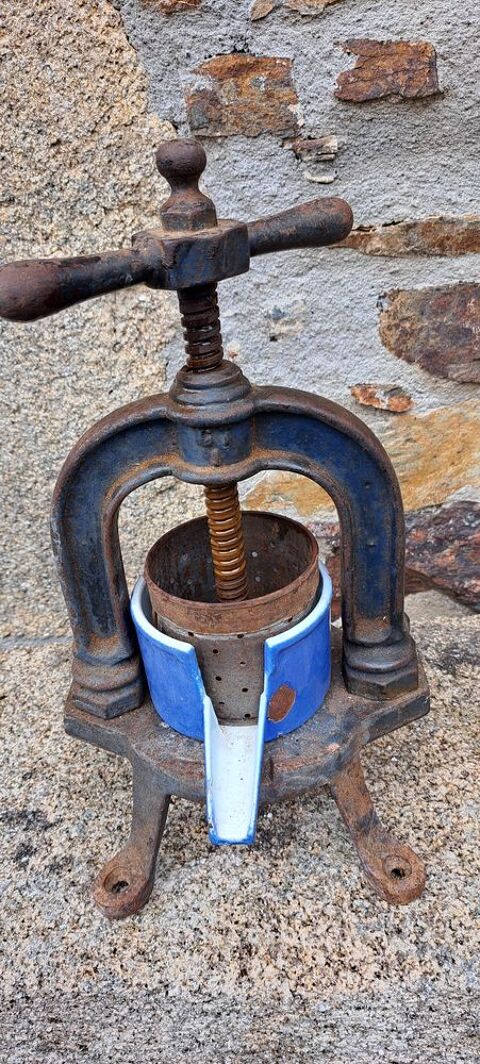 Presse fruit 50 Seilhac (19)