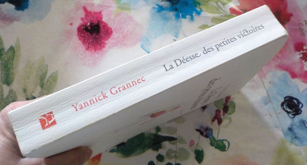 LA DEESSE DES PETITES VICTOIRES de Yannick GRANNEC Livres et BD
