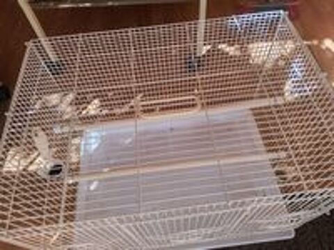   Grande cage 
