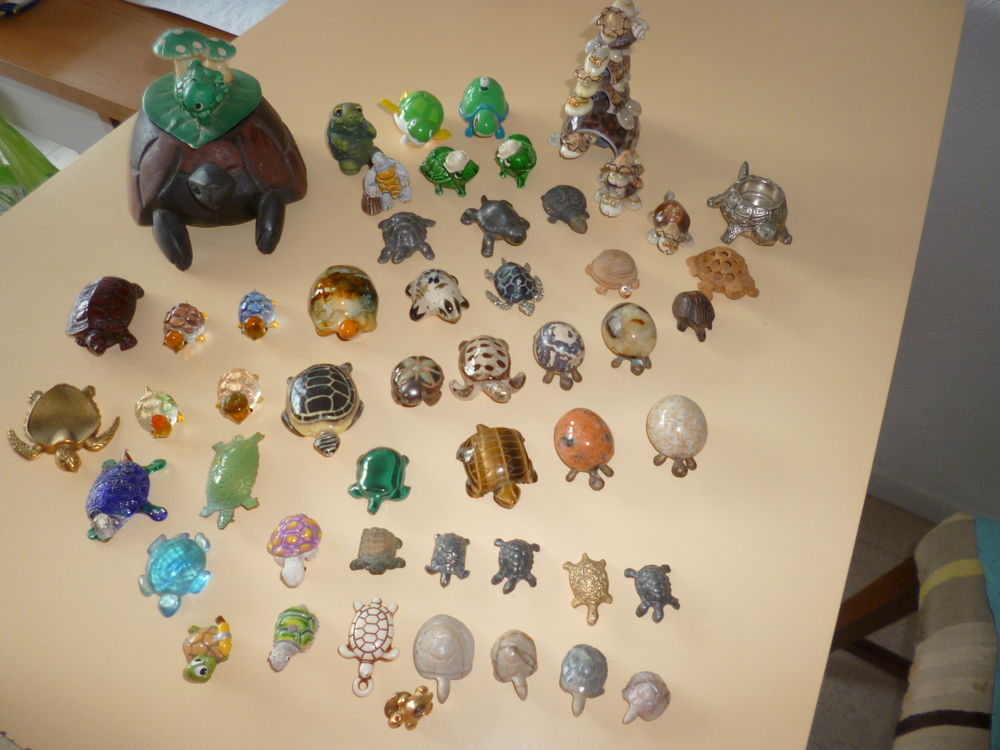 Collection Tortues 
