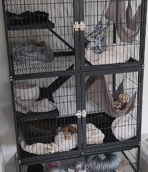 grande cage 137cm de hauteur, pour rat , furet , chinchilla 65 18340 Levet