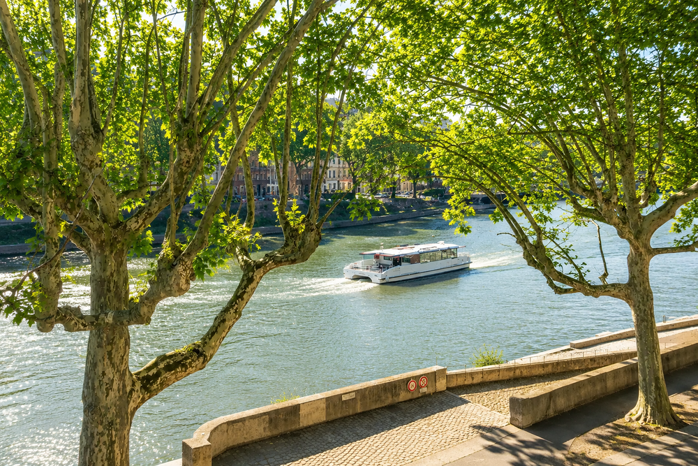 Vente Appartement Quai Saint-Vincent , Splendide T4 rénové avec vue Saône Lyon 1