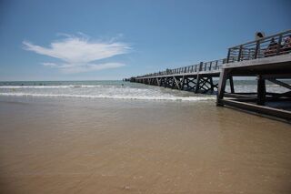 Location  Appartement 