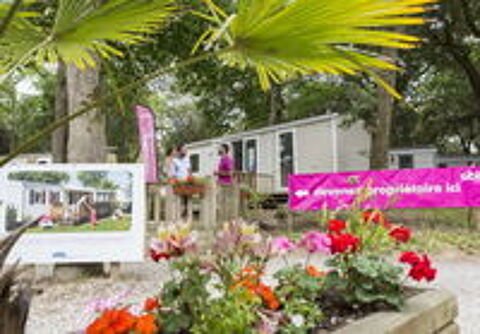  2019 occasion 44250 Saint-Brevin-les-Pins