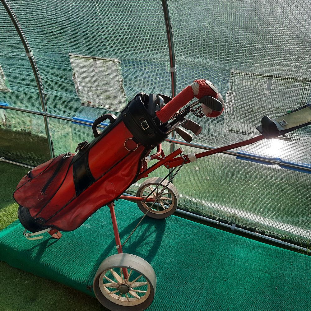Chariot de golf Sports