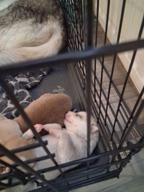 Don contre participation 0 71450 Blanzy