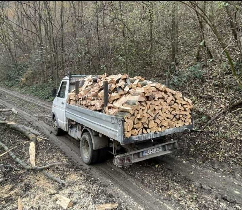 &eth;Ÿ"&yen; BOIS DE CHAUFFAGE €" Ch&ecirc;ne, H&ecirc;tre, Charme €" Livraison &agrave; domicile Bricolage