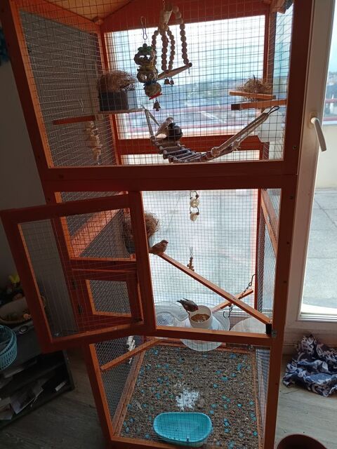 Diamants mandarin 0 72100 Le mans