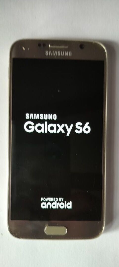Samsung Galaxy S6 trs bon tat 80 Poulx (30)